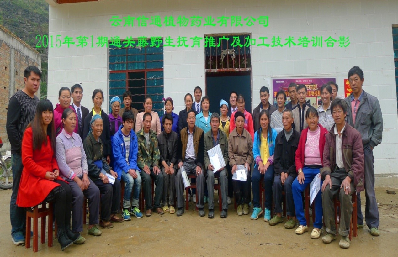 通關藤撫育新戰(zhàn)場